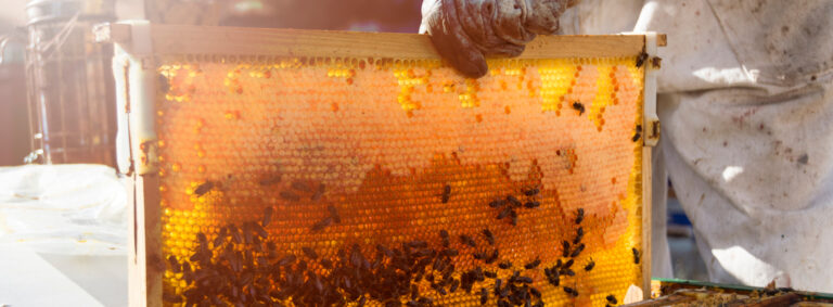 Frequent Consumption Of Honey & Tea Leads To Long Life